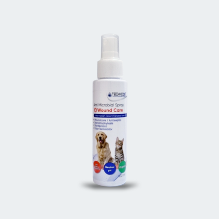 Foto Product web (4)