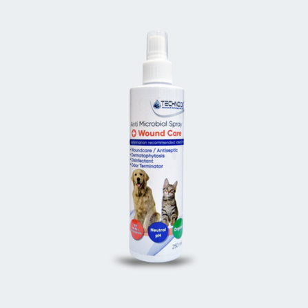 Foto Product web (6)